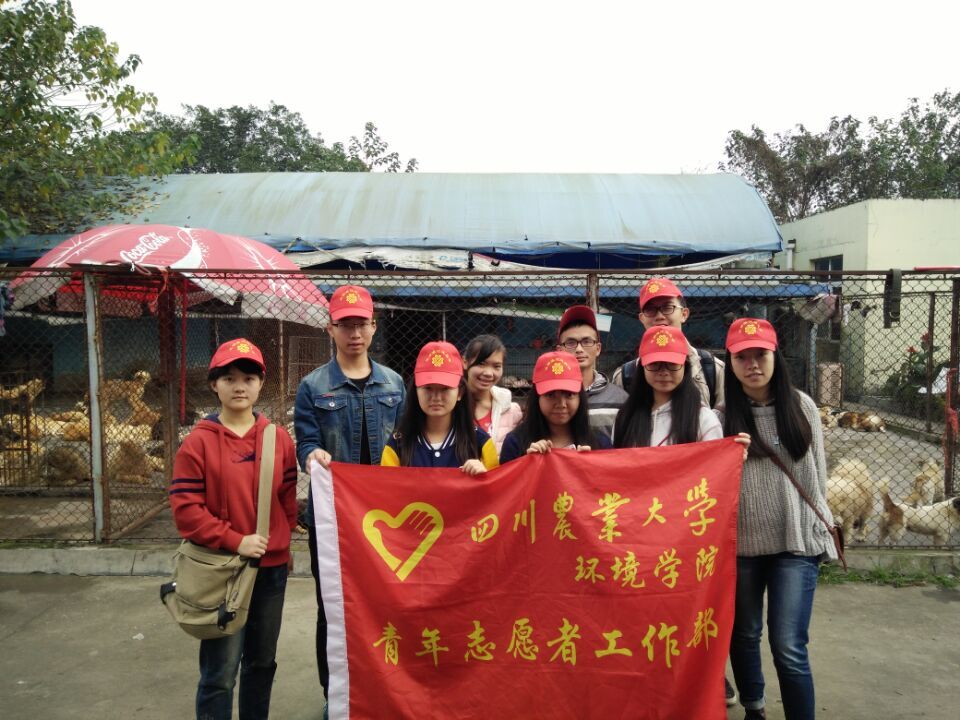 金沙集团1862cc青年志愿者工作部再赴启明小动物保护中心开展志愿活动